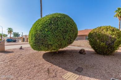 STUNNING REMODEL featuring RAISED CEILINGS, luxury wood-look on Sun Lakes Country Club in Arizona - for sale on GolfHomes.com, golf home, golf lot