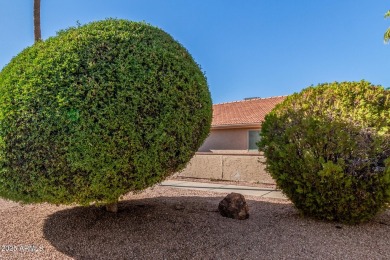 STUNNING REMODEL featuring RAISED CEILINGS, luxury wood-look on Sun Lakes Country Club in Arizona - for sale on GolfHomes.com, golf home, golf lot