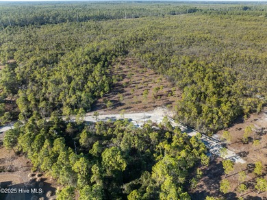 Price improvement! Welcome to an extraordinary 1.11-acre on Members Club At St. James Plantation in North Carolina - for sale on GolfHomes.com, golf home, golf lot
