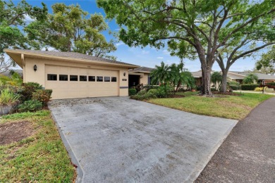 Well-maintained FURNISHED two bedroom, two bath open floor plan on Falcon Watch Golf Club in Florida - for sale on GolfHomes.com, golf home, golf lot