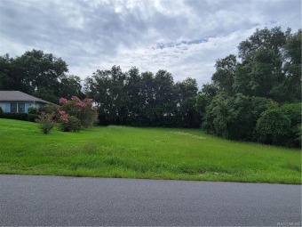 A MUST SEE LOT!!! Come see this .38 acre building lot cleared on LakeSide Country Club in Florida - for sale on GolfHomes.com, golf home, golf lot