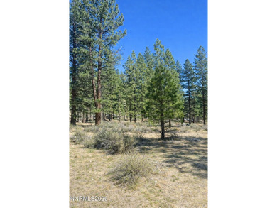 This deep, generous-sized homesite sits below the road and on Clear Creek Tahoe in Nevada - for sale on GolfHomes.com, golf home, golf lot