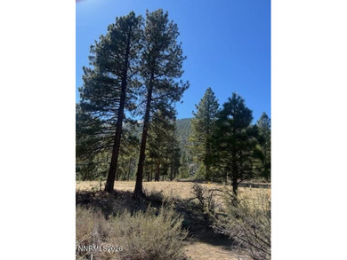 This deep, generous-sized homesite sits below the road and on Clear Creek Tahoe in Nevada - for sale on GolfHomes.com, golf home, golf lot