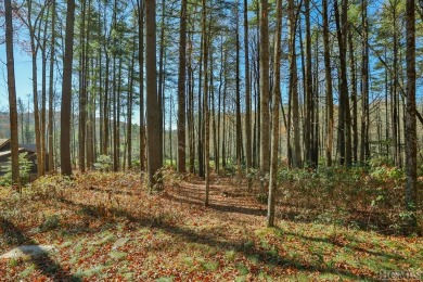 Great 1.01 acre lot in Chimney Top located by golf hole #16 on Mountaintop Golf and Lake Club in North Carolina - for sale on GolfHomes.com, golf home, golf lot