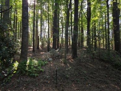 EXCEPTIONAL 1 ACRE lot in Skyland Lakes Golf Course .  Lays on Skyland Lakes Golf Course in Virginia - for sale on GolfHomes.com, golf home, golf lot