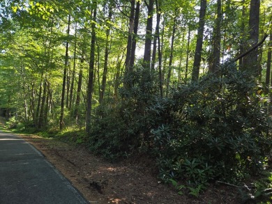 EXCEPTIONAL 1 ACRE lot in Skyland Lakes Golf Course .  Lays on Skyland Lakes Golf Course in Virginia - for sale on GolfHomes.com, golf home, golf lot