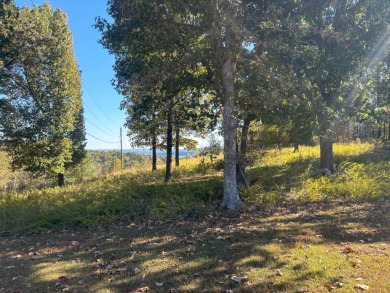 Sitting on a high peninsula in Janian Hills Subdivision, this 3 on Lost Woods Golf Course in Missouri - for sale on GolfHomes.com, golf home, golf lot