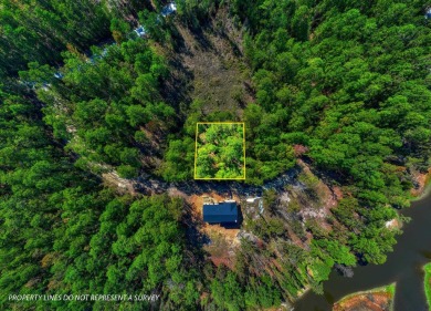 WATERVIEW lot in a secluded area of Rayburn Country. The lot is on Rayburn Country Club in Texas - for sale on GolfHomes.com, golf home, golf lot