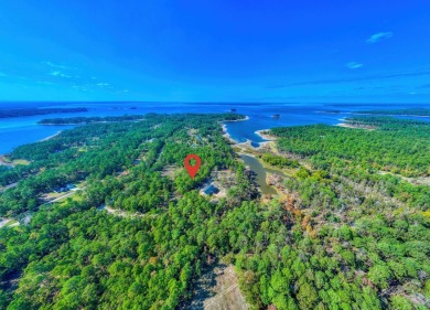WATERVIEW lot in a secluded area of Rayburn Country. The lot is on Rayburn Country Club in Texas - for sale on GolfHomes.com, golf home, golf lot