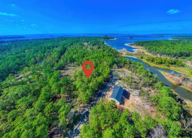 WATERVIEW lot in a secluded area of Rayburn Country. The lot is on Rayburn Country Club in Texas - for sale on GolfHomes.com, golf home, golf lot