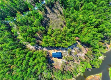 WATERVIEW lot in a secluded area of Rayburn Country. The lot is on Rayburn Country Club in Texas - for sale on GolfHomes.com, golf home, golf lot