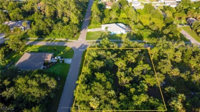 Oversized Corner/Double Lot -Half Acres in NE Port Charlotte! on Port Charlotte Golf Club in Florida - for sale on GolfHomes.com, golf home, golf lot