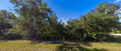 Oversized Corner/Double Lot -Half Acres in NE Port Charlotte! on Port Charlotte Golf Club in Florida - for sale on GolfHomes.com, golf home, golf lot