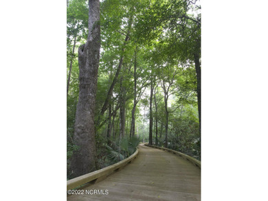 Beautiful Leopard's Chase golf course and pond homesite on Ocean Ridge Plantation in North Carolina - for sale on GolfHomes.com, golf home, golf lot