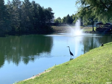 Lovely and well-maintained WCA home within a quiet senior on Bunn Golf Course in Illinois - for sale on GolfHomes.com, golf home, golf lot