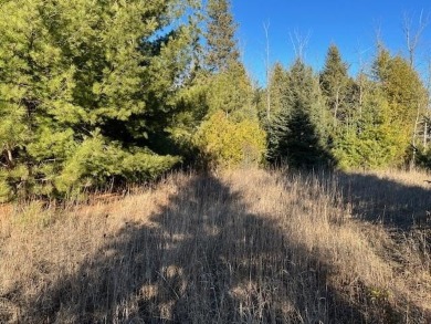 Stop and smell the cedar and pines on this buildable lot on on Idlewild Golf Course in Wisconsin - for sale on GolfHomes.com, golf home, golf lot