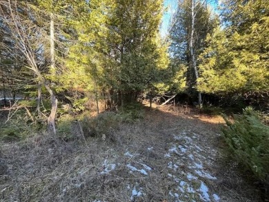 Stop and smell the cedar and pines on this buildable lot on on Idlewild Golf Course in Wisconsin - for sale on GolfHomes.com, golf home, golf lot