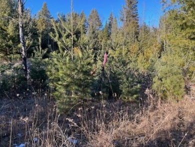 Stop and smell the cedar and pines on this buildable lot on on Idlewild Golf Course in Wisconsin - for sale on GolfHomes.com, golf home, golf lot