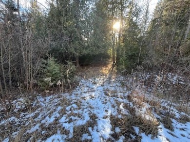 Stop and smell the cedar and pines on this buildable lot on on Idlewild Golf Course in Wisconsin - for sale on GolfHomes.com, golf home, golf lot