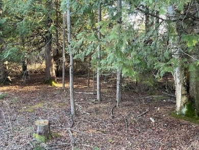 Stop and smell the cedar and pines on this buildable lot on on Idlewild Golf Course in Wisconsin - for sale on GolfHomes.com, golf home, golf lot