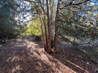 Stop and smell the cedar and pines on this buildable lot on on Idlewild Golf Course in Wisconsin - for sale on GolfHomes.com, golf home, golf lot