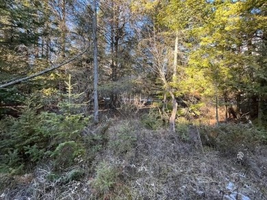 Stop and smell the cedar and pines on this buildable lot on on Idlewild Golf Course in Wisconsin - for sale on GolfHomes.com, golf home, golf lot