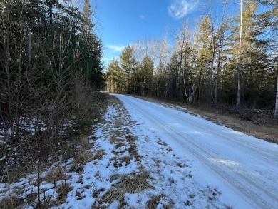 Stop and smell the cedar and pines on this buildable lot on on Idlewild Golf Course in Wisconsin - for sale on GolfHomes.com, golf home, golf lot