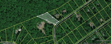 Fawn Lake Forest to be built June 2026, this beautiful on Forest Lake Club in Pennsylvania - for sale on GolfHomes.com, golf home, golf lot