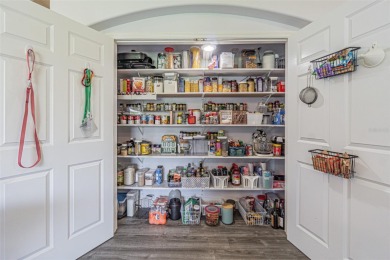 STUNNING REMODELED HOME, with over $40,000 in recent upgrades on Tampa Bay Golf and Country Club in Florida - for sale on GolfHomes.com, golf home, golf lot