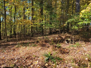 Build and design the home of your dreams on this private on Apple Valley Golf Course in Ohio - for sale on GolfHomes.com, golf home, golf lot