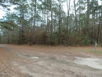 ***REDUCED***Nice wooded 0.297 acre +/- corner lot. The on Pendleton Harbor in Texas - for sale on GolfHomes.com, golf home, golf lot