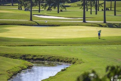 Build Your Dream Home in Paradise; Nestled amidst the lush on Tidewater Golf Club and Plantation in South Carolina - for sale on GolfHomes.com, golf home, golf lot