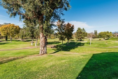 Cozy & Remodeled 2-Bedroom Gem in the popular Ranch Monserate on Rancho Monserate Country Club in California - for sale on GolfHomes.com, golf home, golf lot