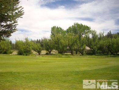 Maybe the best lot in Franktown Estates, a gated community on Toiyabe Golf Course in Nevada - for sale on GolfHomes.com, golf home, golf lot