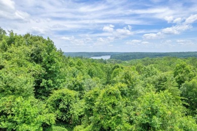 This pretty condo has sweeping views of a gorgeous treetop on Currahee Golf Club in Georgia - for sale on GolfHomes.com, golf home, golf lot