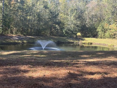 This is a custom built Wolfe home - one owner. Home is perfectly on The Golf Club At Cedar Creek in South Carolina - for sale on GolfHomes.com, golf home, golf lot