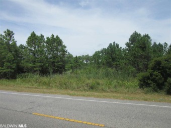 AFFORDABLE LOT! Located on Highway 180 West with short walk/golf on The Golf Club of the Wharf in Alabama - for sale on GolfHomes.com, golf home, golf lot