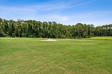 Sophistication Meets Comfort on the 17th Green! Step into luxury on Amelia National Golf and Country Club in Florida - for sale on GolfHomes.com, golf home, golf lot