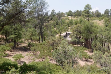 Build your dream home and enjoy the beautiful wooded on The Rim Golf Club in Arizona - for sale on GolfHomes.com, golf home, golf lot