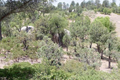 Build your dream home and enjoy the beautiful wooded on The Rim Golf Club in Arizona - for sale on GolfHomes.com, golf home, golf lot
