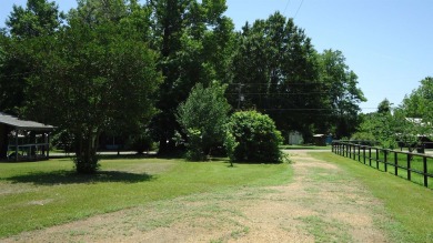 BREATHE-TAKING VIEWS OVERLOOKING TOLEDO BEND LAKE, LOCATED on Cypress Bend Golf Course in Texas - for sale on GolfHomes.com, golf home, golf lot