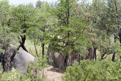 Build your dream home and enjoy the beautiful wooded on The Rim Golf Club in Arizona - for sale on GolfHomes.com, golf home, golf lot