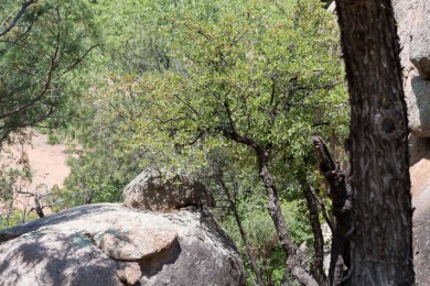 Build your dream home and enjoy the beautiful wooded on The Rim Golf Club in Arizona - for sale on GolfHomes.com, golf home, golf lot