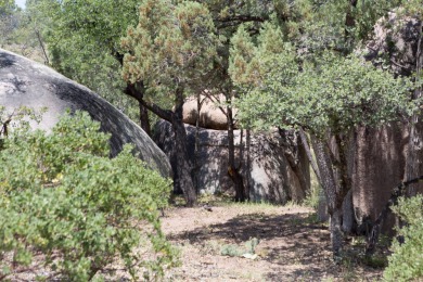 Build your dream home and enjoy the beautiful wooded on The Rim Golf Club in Arizona - for sale on GolfHomes.com, golf home, golf lot