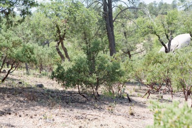 Build your dream home and enjoy the beautiful wooded on The Rim Golf Club in Arizona - for sale on GolfHomes.com, golf home, golf lot