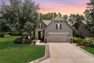 Don't miss your chance to own this professionally designed on Stone Creek Golf Club in Florida - for sale on GolfHomes.com, golf home, golf lot