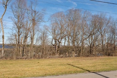 Looking for a lakefront lot in Woodlawn Estates? This is your on Peninsula Golf Resort in Kentucky - for sale on GolfHomes.com, golf home, golf lot