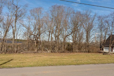 Looking for a lakefront lot in Woodlawn Estates? This is your on Peninsula Golf Resort in Kentucky - for sale on GolfHomes.com, golf home, golf lot