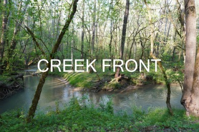 ENGLISH CREEK FRONTAGE within Walking or Golf cart distance to on Smoky Mountain Country Club in Tennessee - for sale on GolfHomes.com, golf home, golf lot