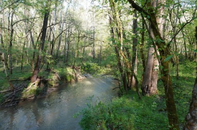 ENGLISH CREEK FRONTAGE within Walking or Golf cart distance to on Smoky Mountain Country Club in Tennessee - for sale on GolfHomes.com, golf home, golf lot